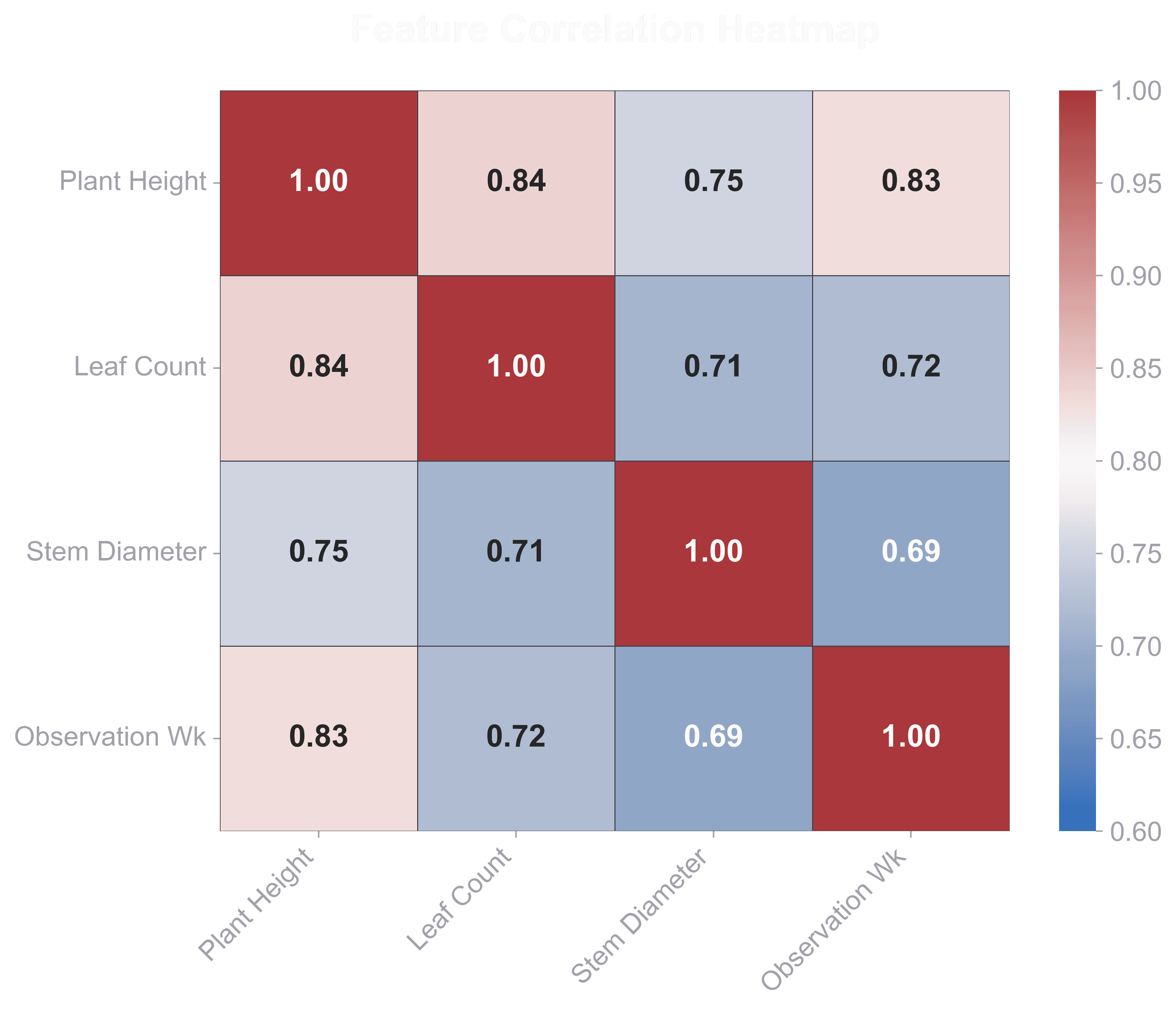 Feature Correlation Heatmap
